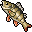 Infinite Fish