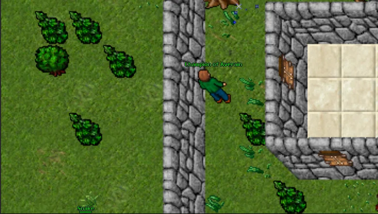 Champion of Averain